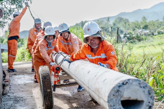 Năm thứ hai liên tiếp EVN vượt kế hoạch đầu tư, tổng giá trị giải ngân đạt 125.778 tỷ đồng