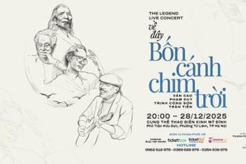 [Podcast] Hủy show phút chót, hàng nghìn khán giả bức xúc trước đêm nhạc “Về đây bốn cánh chim trời”