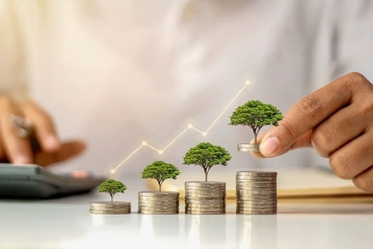 Tín dụng xanh: Dòng vốn cho cam kết Net Zero vẫn “khát” cơ chế dẫn dắt