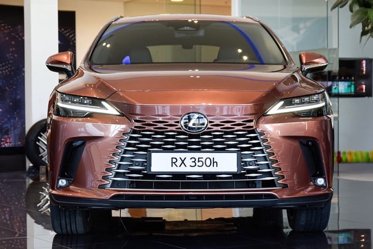 Lexus triệu hồi hơn 2.700 xe do lỗi phần mềm hỗ trợ đỗ
