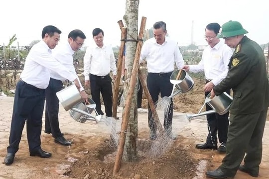Hà Nội trồng hơn 400.000 cây xanh năm 2026 vì Thủ đô xanh
