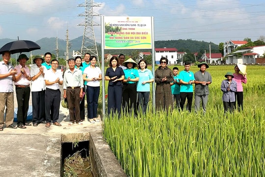 Nông dân xã Sóc Sơn sản xuất nông nghiệp xanh, sạch