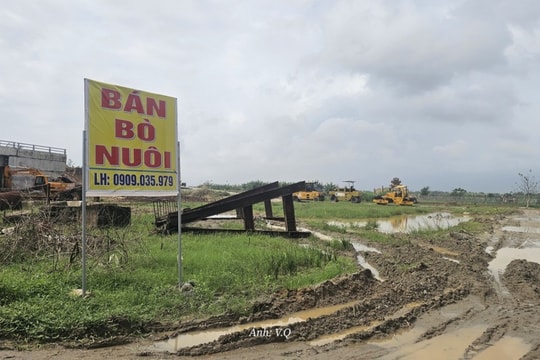 Đà Nẵng: Hàng loạt dự án đầu tư công tiếp tục "đứng bánh"