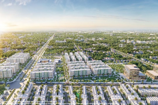 Boutique Home Tràng Cát - Mảnh ghép chiến lược trên bản đồ phát triển đô thị Nam Hải Phòng