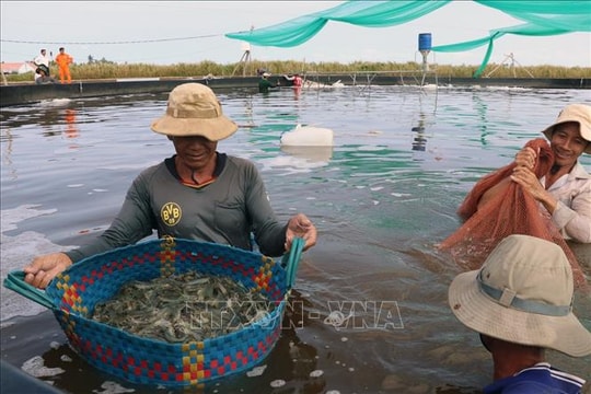 Quy định mới về đối tượng không chịu thuế giá trị gia tăng