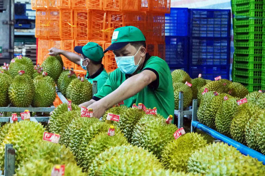 Năm 2025 - nông nghiệp tăng trưởng cao, xuất khẩu bứt phá