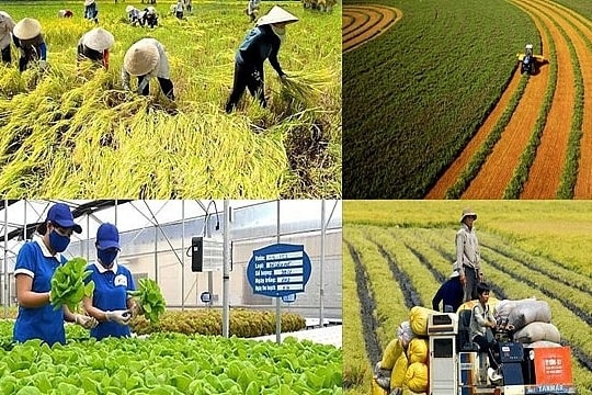 Chính sách mới có hiệu lực từ tháng 1-2026