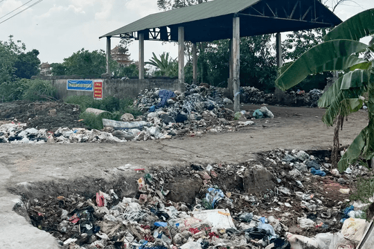 Hà Nội ban hành quy định quản lý chất thải rắn sinh hoạt của hộ gia đình, cá nhân