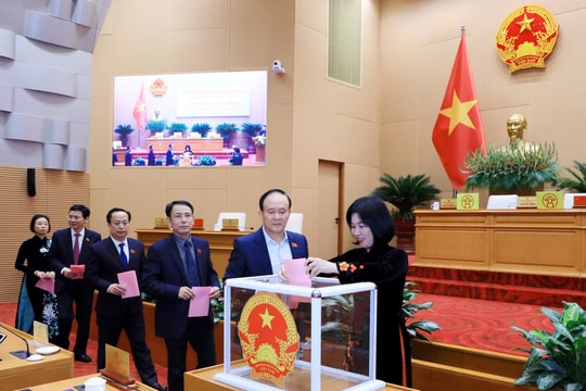 HĐND thành phố Hà Nội bầu Trưởng Ban Văn hóa - Xã hội, Trưởng Ban Đô thị