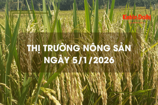 Thị trường nông sản ngày 5/1: gạo xuất khẩu Việt Nam ở mức 440 USD/tấn