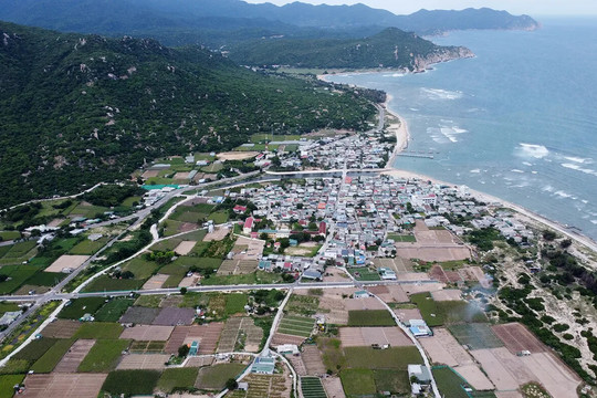 Tập trung giải phóng mặt bằng, bảo đảm tiến độ dự án điện hạt nhân Ninh Thuận