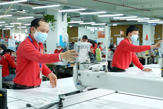 Vượt sóng gió, ngành dệt may cán đích thành công