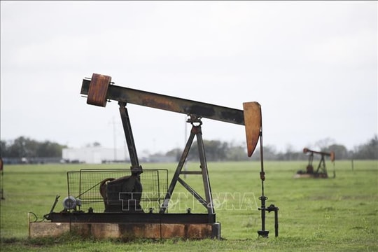 Giá dầu thế giới giảm mạnh do biến động tại Venezuela và tình trạng dư cung
