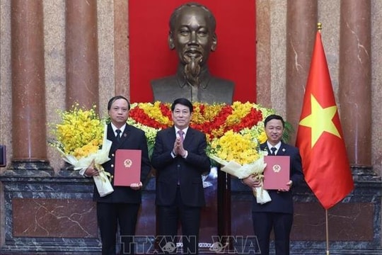 Chủ tịch nước Lương Cường trao quyết định bổ nhiệm Phó Chánh án Tòa án nhân dân Tối cao