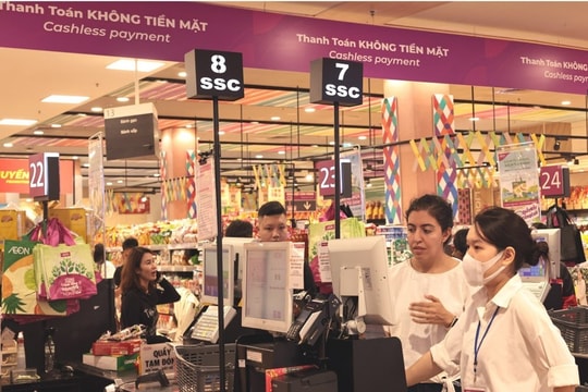 Bắt đầu Tổng điều tra kinh tế năm 2026 trên toàn quốc