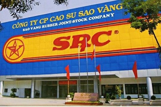 Cao su Sao Vàng được chuyển mục đích sử dụng 62.389,46m² đất