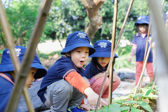 Giáo dục con trẻ là một hành trình "đi bộ đường dài"