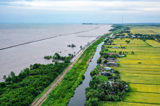 Cà Mau chi 26.820 tỷ đồng để phòng, chống sạt lở