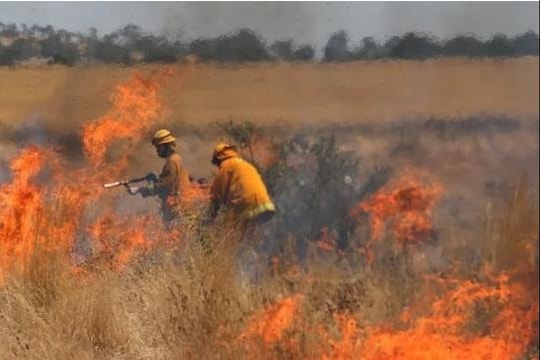 Australia: Cháy rừng hoành hành ở bang Victoria, cảnh báo người dân sơ tán