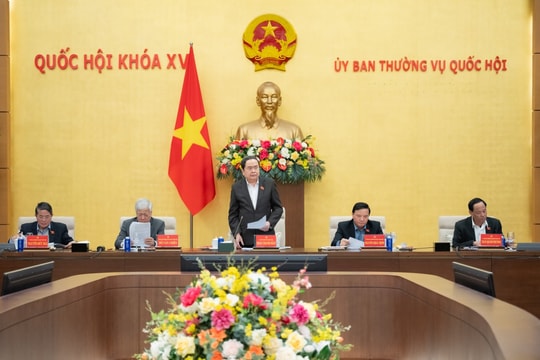 Giới thiệu 145 nhân sự ứng cử đại biểu Quốc hội chuyên trách khoá XVI ở Trung ương