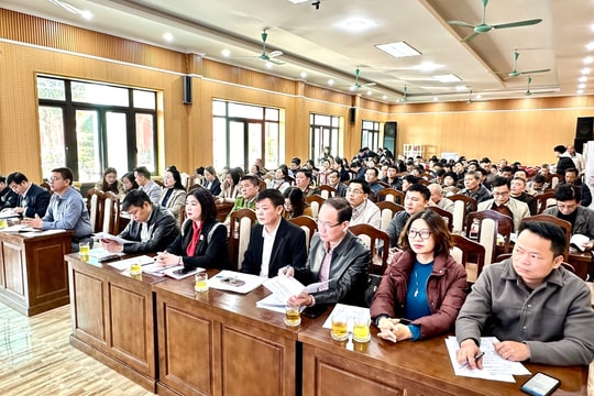 Xã Đại Thanh: Tham vấn, đánh giá tác động môi trường Dự án xây dựng Khu đô thị thể thao Olympic