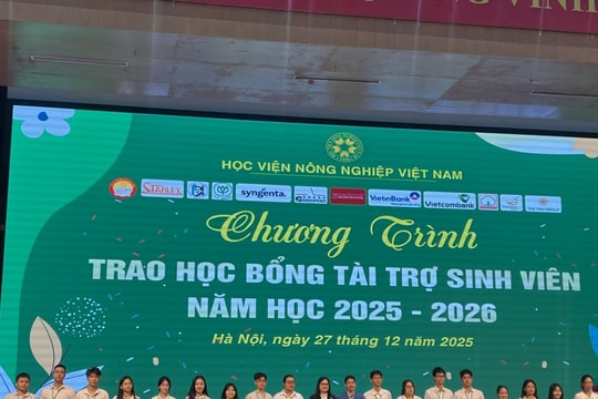 Khi giảng đường nối dài vào doanh nghiệp