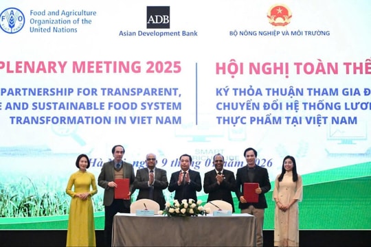 Thúc đẩy chuyển đổi hệ thống lương thực, thực phẩm xanh, bền vững