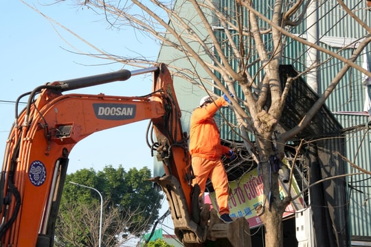 Hạ Bằng lập lại trật tự đô thị, bảo đảm an toàn giao thông