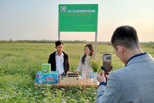 Chuyển đổi số giúp sản phẩm OCOP mở rộng thị trường