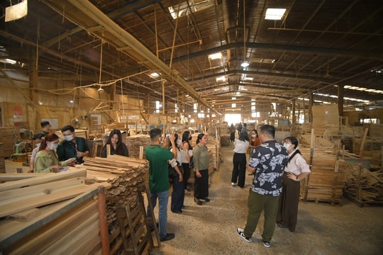 Gỗ Green Mekong: Chuyển giao thế hệ từ 20 năm sản xuất sang bứt phá xuất khẩu trực tuyến trên Amazon