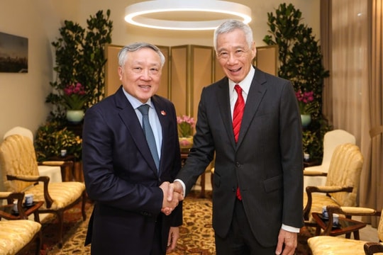 Phó Thủ tướng Thường trực Chính phủ Nguyễn Hòa Bình hội kiến Bộ trưởng Cao cấp Singapore Lý Hiển Long