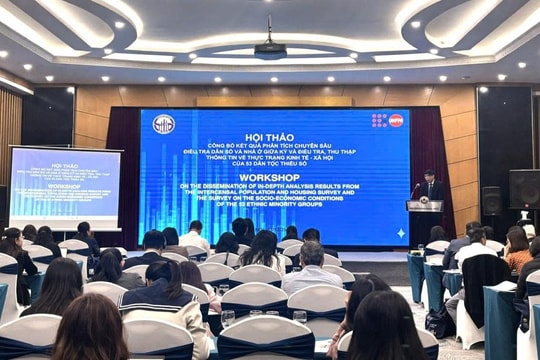 Bức tranh về biến đổi nhân khẩu học tại Việt Nam