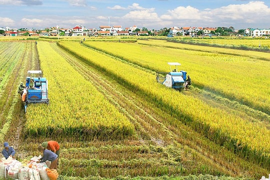 Tăng trưởng đi cùng xanh hóa