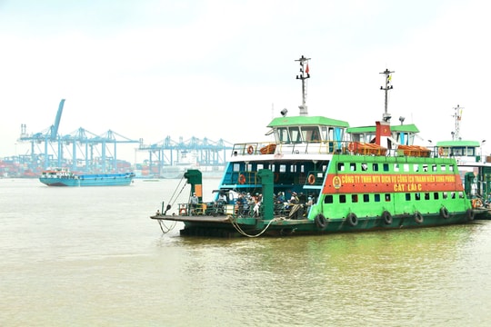 Sau 32 năm chờ đợi, cầu Cát Lái sắp được khởi công nối Đồng Nai - TP Hồ Chí Minh