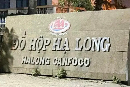 Khởi tố Tổng Giám đốc Công ty CP Đồ hộp Hạ Long