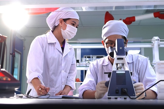 Từ liên kết rời rạc đến hệ sinh thái đổi mới sáng tạo Thủ đô