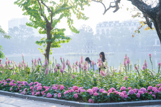 Hoa tươi khoe sắc thắm quanh Hồ Gươm