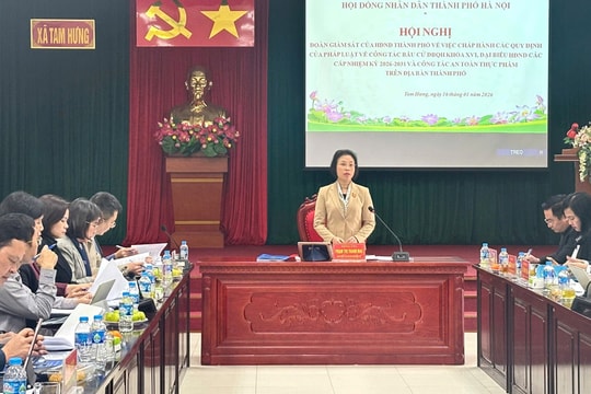 Giám sát công tác bầu cử và an toàn thực phẩm tại xã Tam Hưng