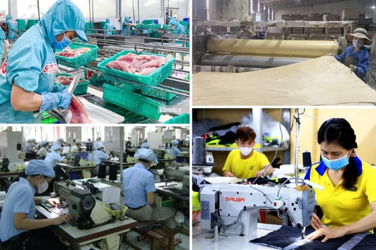 Chính sách ưu đãi thuế phát triển kinh tế tư nhân