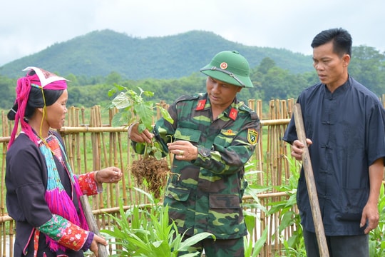Triển khai Đề án giáo dục, tuyên truyền về Quân đội tham gia lao động sản xuất trên phạm vi cả nước