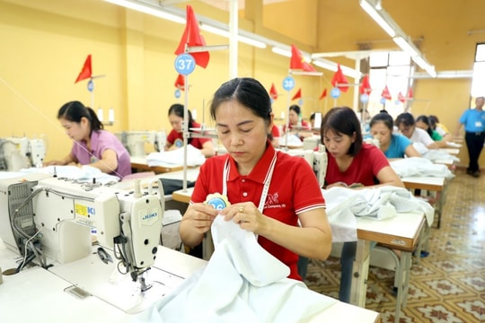 Nâng cao vai trò tiên phong của kinh tế Nhà nước