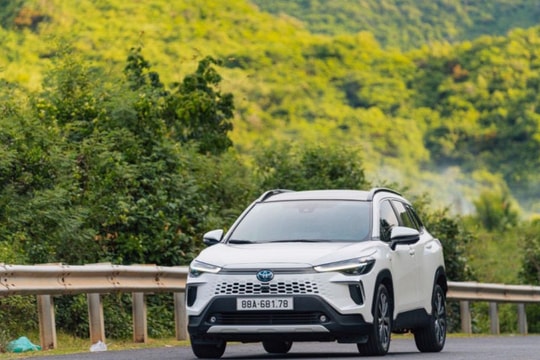 Xe Hybrid tạo ‘sóng lớn’ tại Việt Nam năm 2025