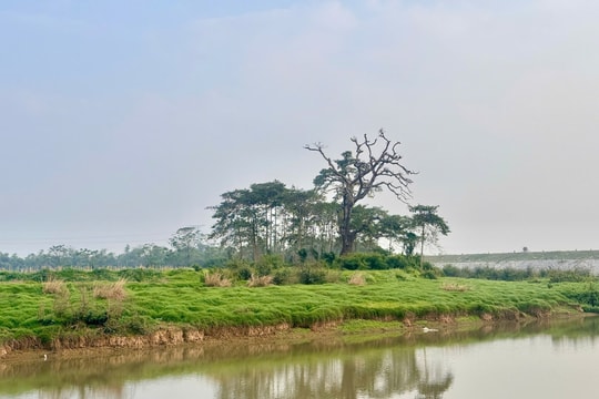 [Podcast] Du lịch xanh Đa Phúc: Trải nghiệm bên sông Cà Lồ