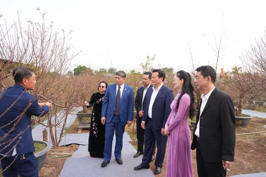 Khai mạc Lễ hội “Đào Nhật Tân - sắc xuân Hồng Hà”
