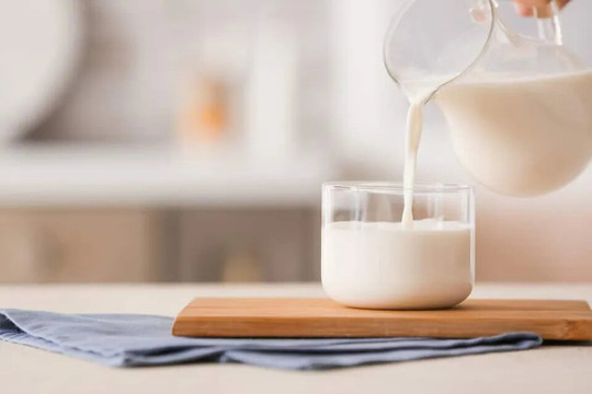 Uống sữa tươi mỗi ngày có tốt không?