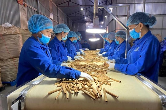 Thể chế - đòn bẩy cho phát triển nhanh, bền vững