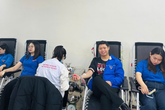 Tuổi trẻ Yên Hòa: Những “giọt hồng” yêu thương chào mừng Đại hội XIV