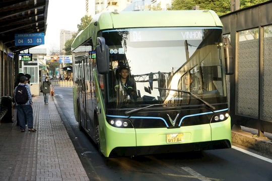 TP Hồ Chí Minh: Năm 2026, hơn 50% xe buýt sử dụng điện