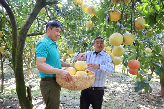 Bứt phá ở nông thôn Hà Nội trước thềm Đại hội Đảng