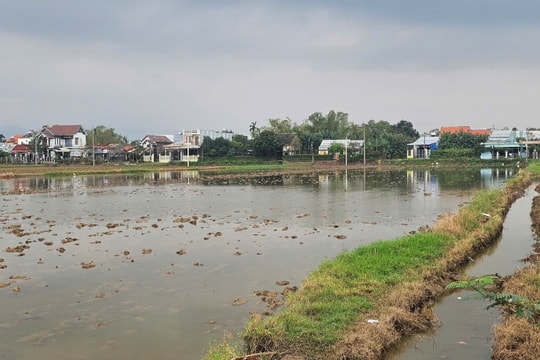 Đà Nẵng đấu thầu lựa chọn nhà đầu tư khu dân cư Duy Phước